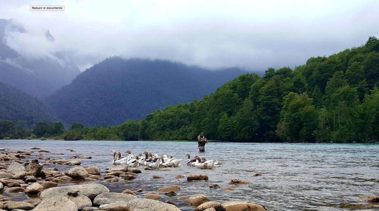Cabanas Nutrias Patagonicas Puelo River Exterior foto